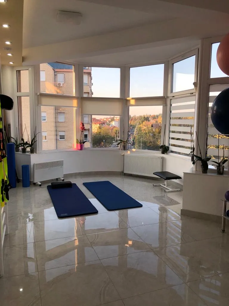 Sala za vežbe u erkeru, pogled na Čukaricu